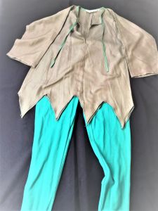 Kids Costumes to Hire - Peter Pan, Jake Bean Stalk, Elf, BFG - CHILD Top & tights